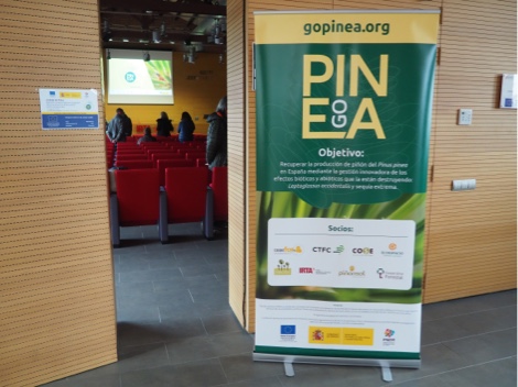 Presentaciones de la jornada GO PINEA “Avances y nuevos retos en la gestión del pino piñonero”