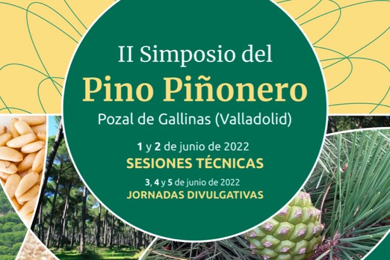 Cartel II Simposio del Pino Piñonero