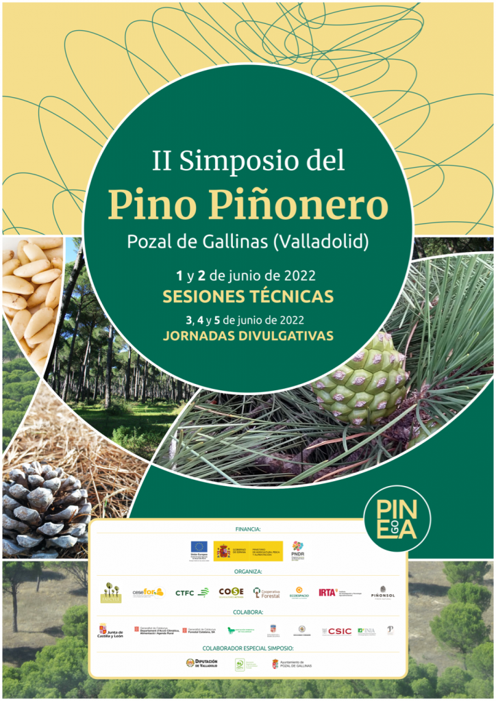 Cartel II Simposio del Pino Piñonero. Pozal de Gallinas (Valladolid) 1 y 2 de Junio de 2022