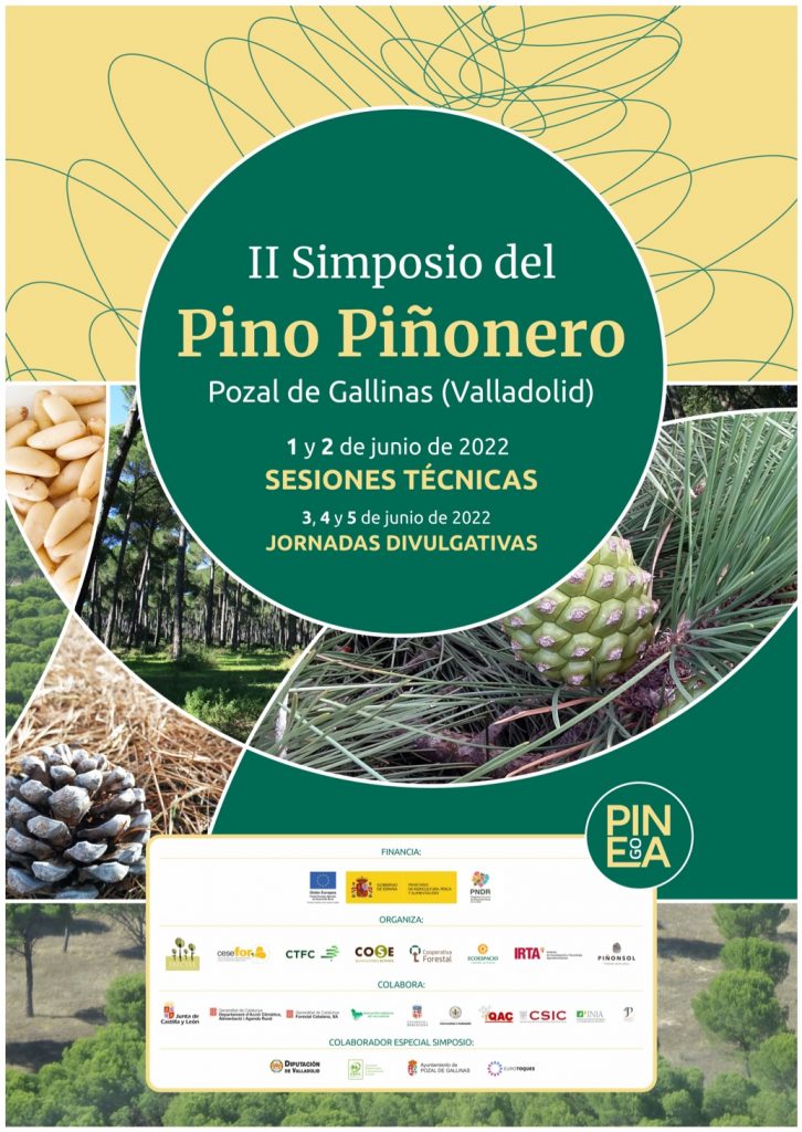 Cartel II Simposio del Pino Piñonero. Pozal de Gallinas (Valladolid) 1 y 2 de Junio de 2022